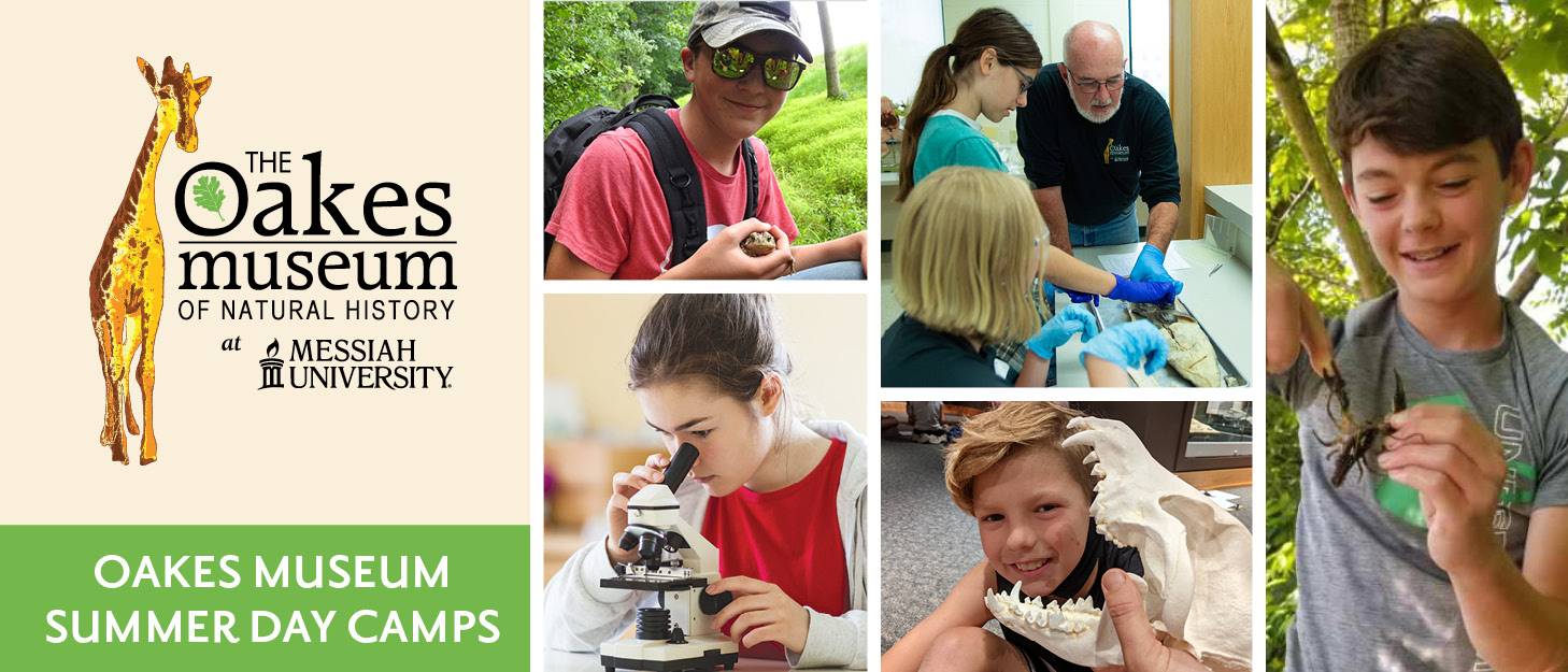 Pictures of students at the Oakes Museum