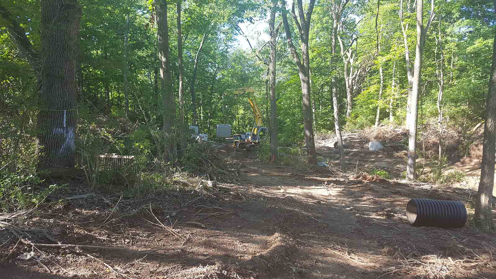 Outside natural environment which is going through ravine restoration.