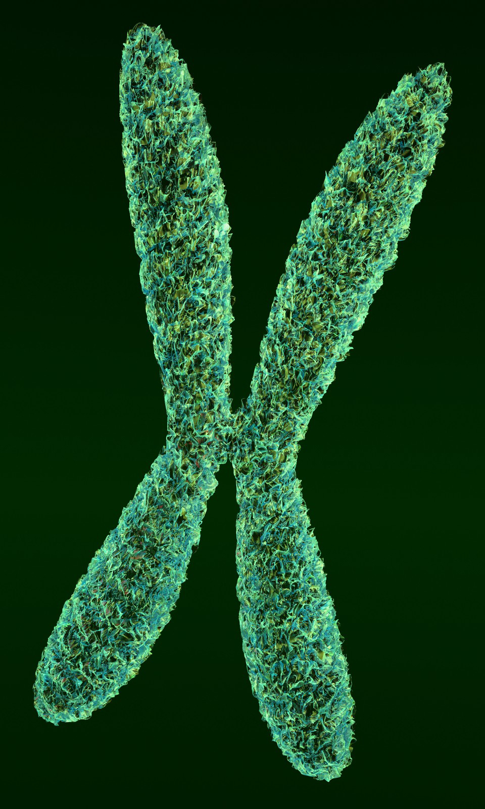 Biological Molecular Image - Chromosome