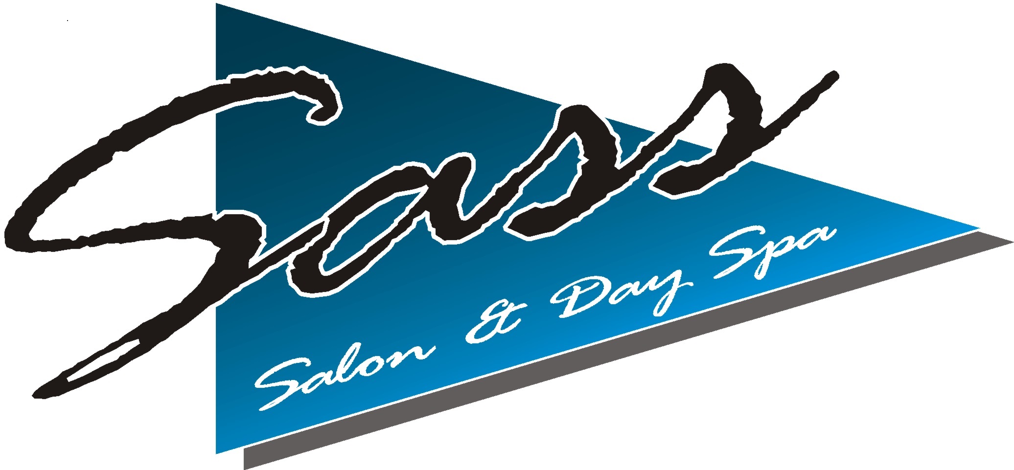 Sass Salon & Day Spa logo