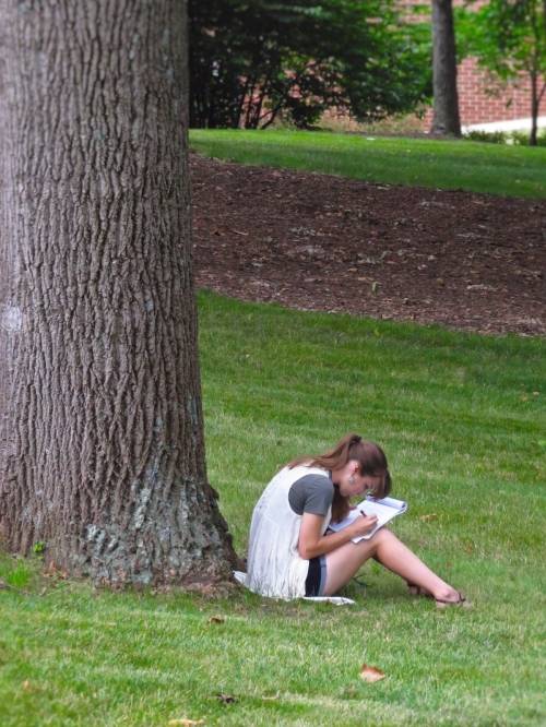 Young Writers Workshop