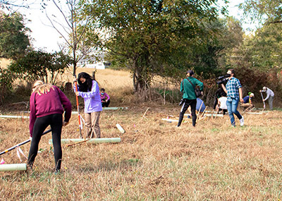 Students working in the Messiah University gardens