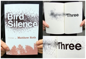 Book design for 'Bird Silence.'