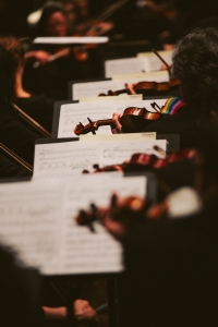 HSO Violinists