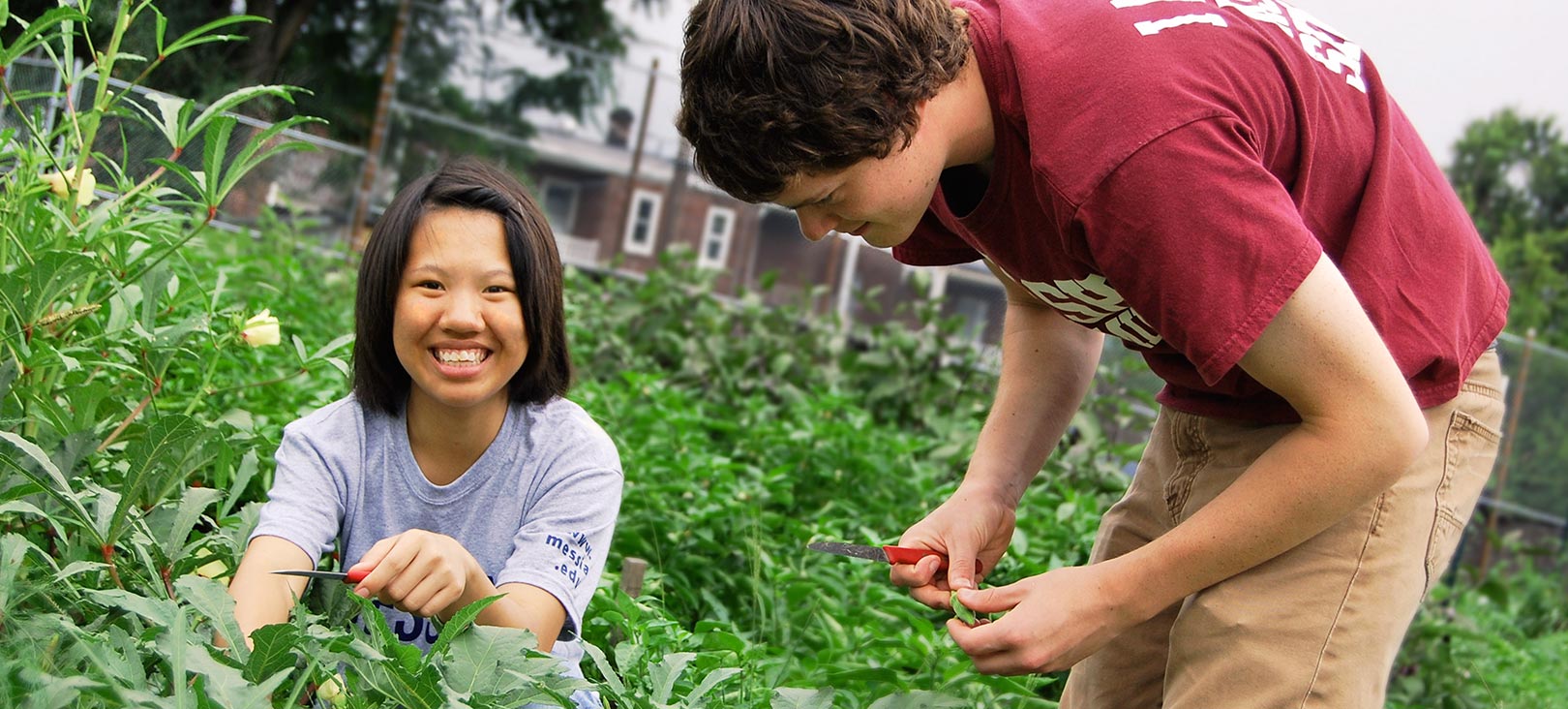 Ecological Biology Concentration Students working on a garden.jpg