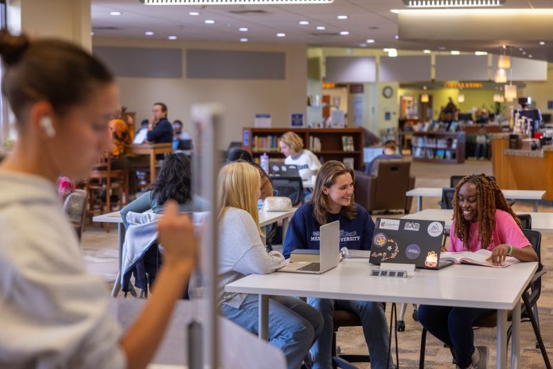 Students studying together at the library.