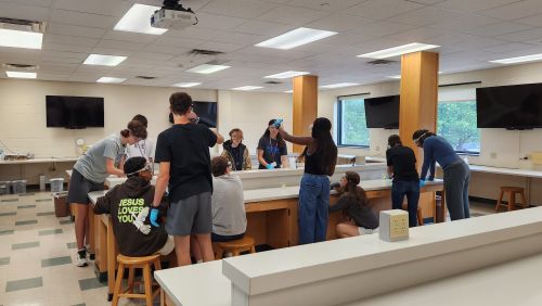 Students at exploring careers in Healthcare camp 