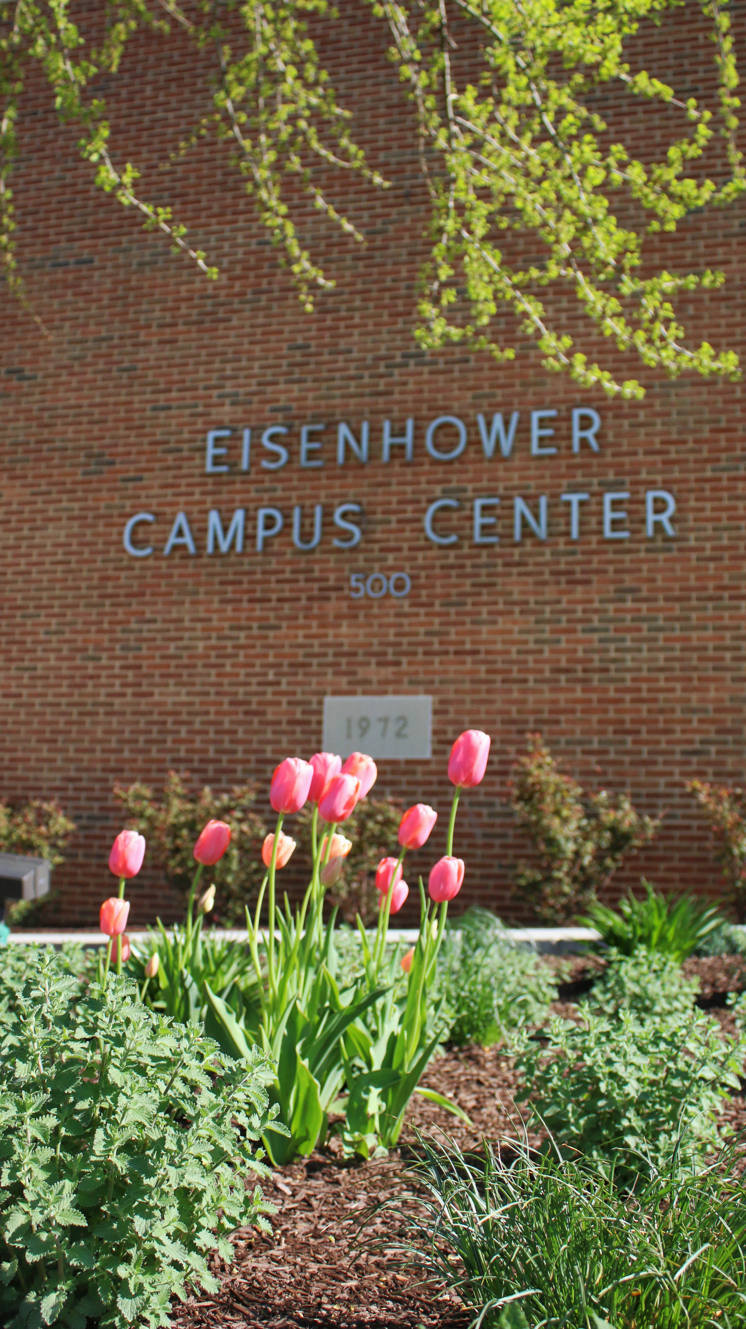 An outdoor photo of Eisenhower Campus Center at Messiah University
