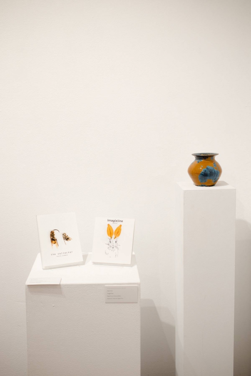 Art at the 2017 annual juried show. 