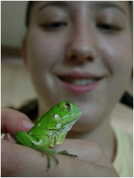 Biological travel central america