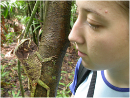 Female student looking at helmeted iguana