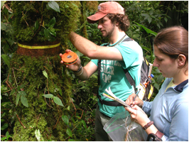 Students researching in cloud forest canopy