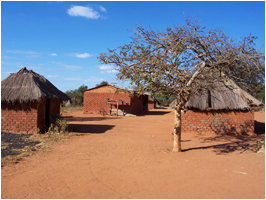 Several buildings on an African Homestead