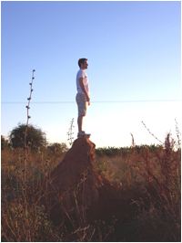Student in silhouette standing on top of large termite mound