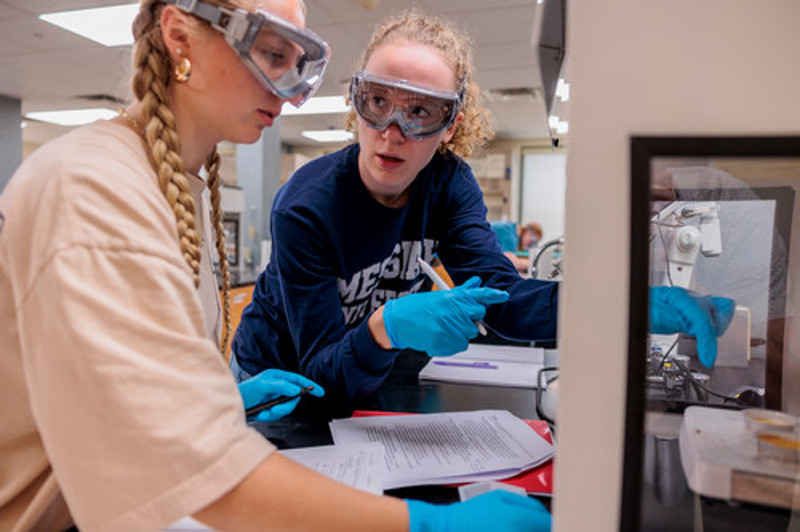 Students conducting research in chemistry lab