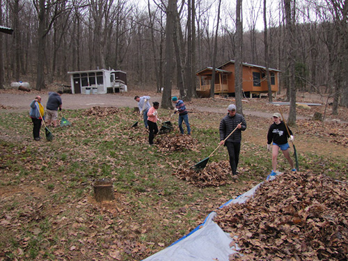 Students raking leaves