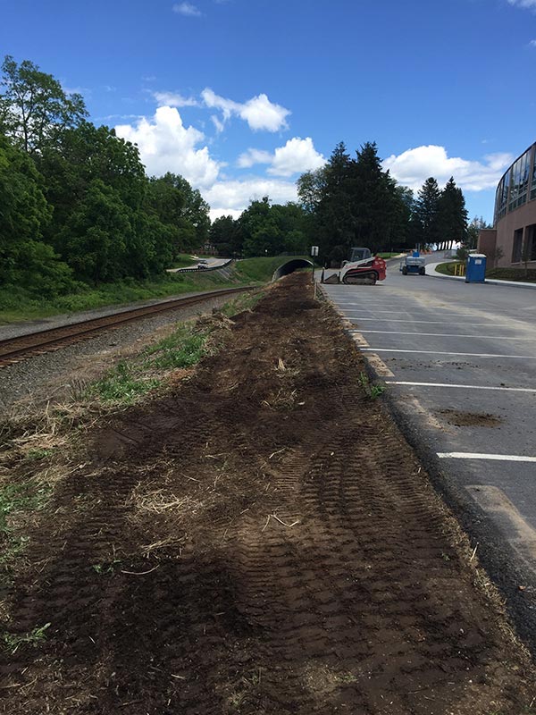 Grounds being prepared for college avenue tree project.