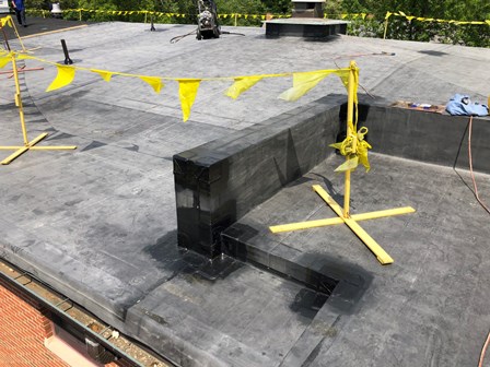 Solly roof 4 1