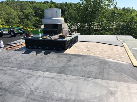 Solly roof 7