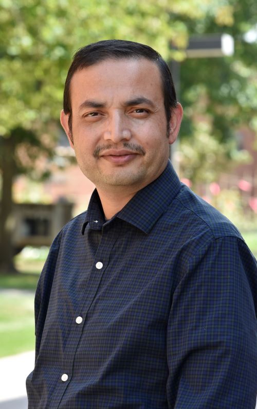 image of Kim Phipps