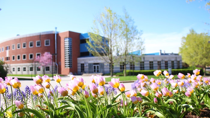 An image of the Messiah campus through tulips