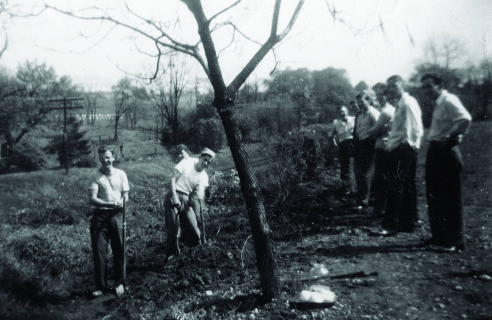 Prankers had to replant trees in front of old main