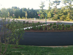 Rain Garden Ideal Image