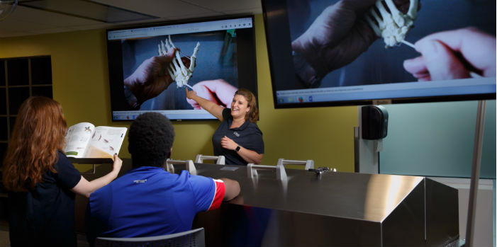 Students in the physical therapy program, learning from a professor