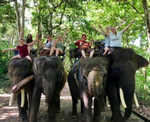 Students sitting on elephants in Indonesia