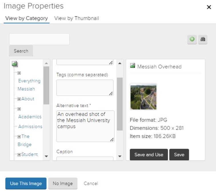 Screenshot of where to add alt text in Jadu