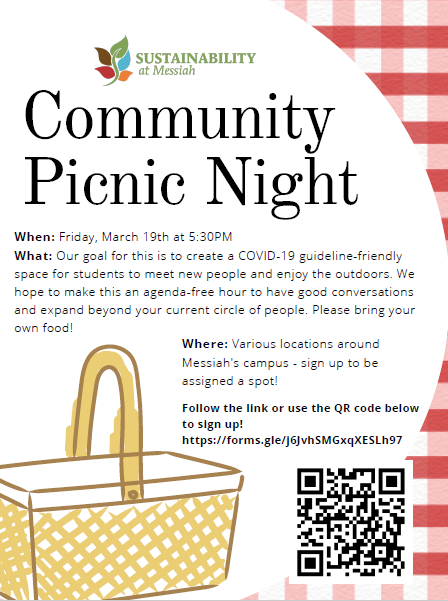 Community picnic night