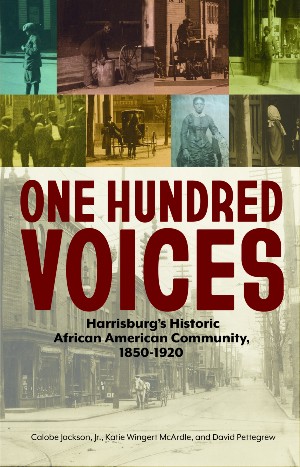 A book cover titled "One Hundred Voices"