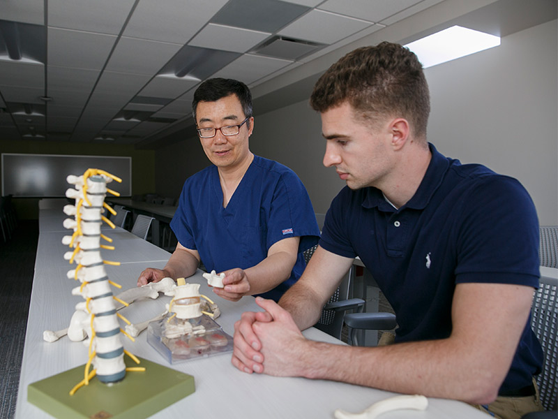 Two men sit at a table and examine a fake human spine.