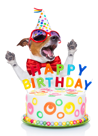 Beagle wearing party hat behind cake that has happy birthday candles