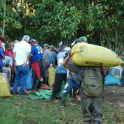 Farmers carrying sacks full of fruits.