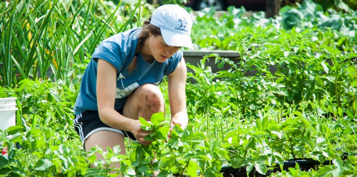 A young woman in a hat kneels to work in a garden full of green plants.