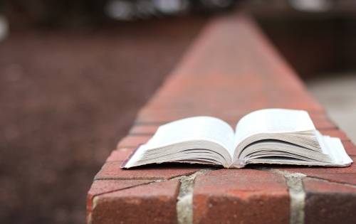 Book on top of a brick wall.