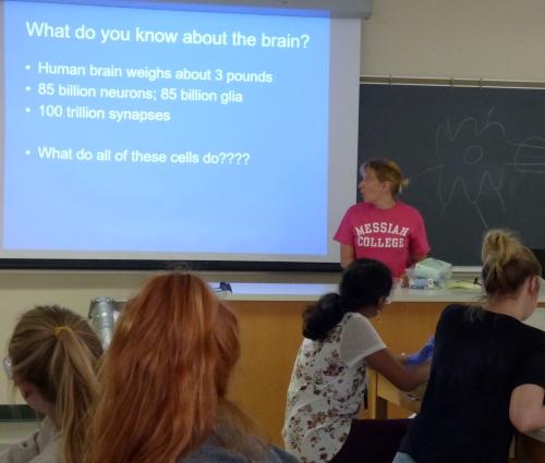 professor teaching about brains in lab