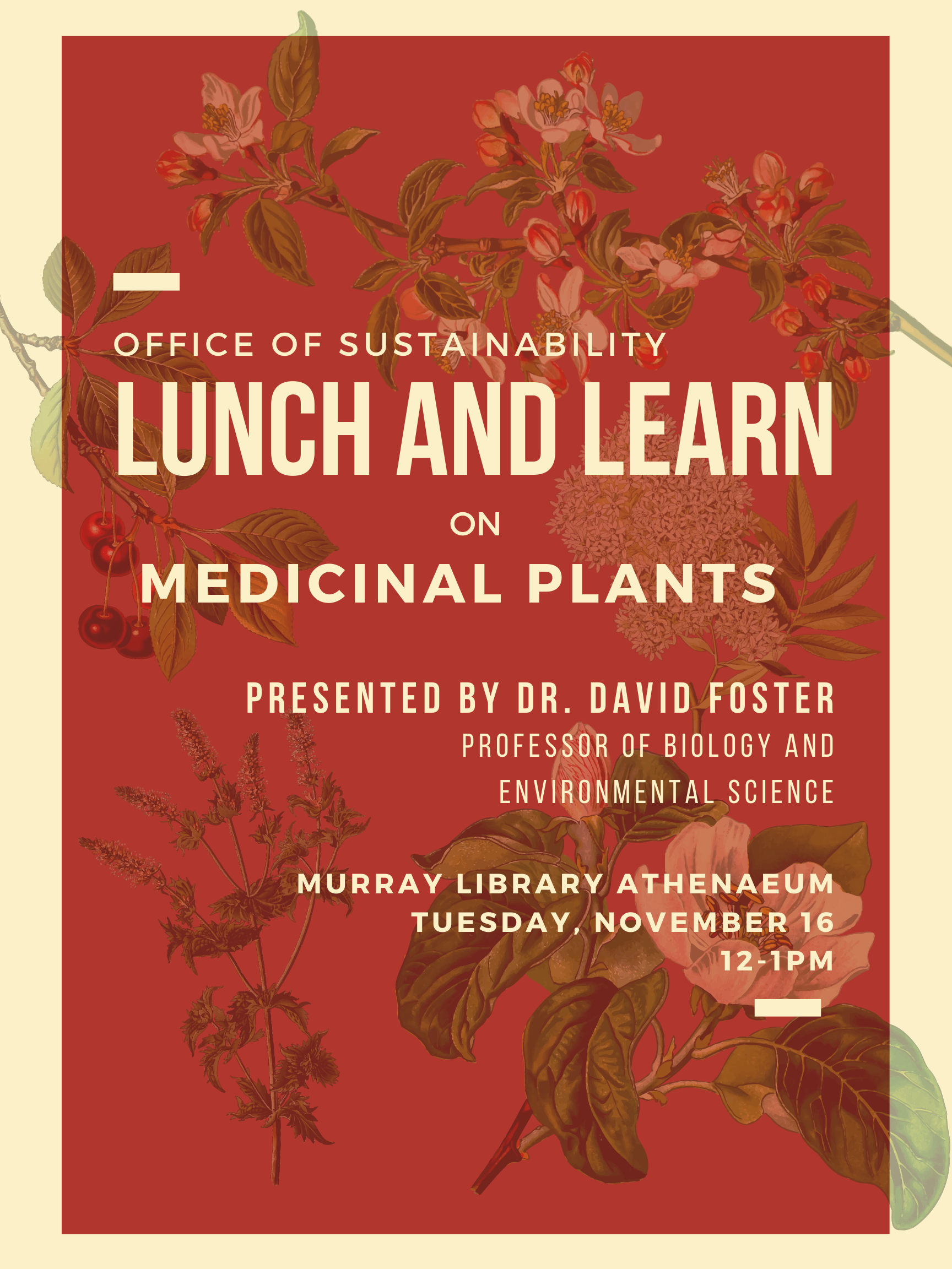 Medicinal plants lunch and learn