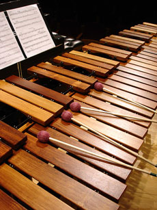 Music chamber percussion