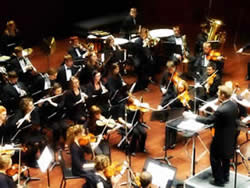 Symphony Orchestra musicians.