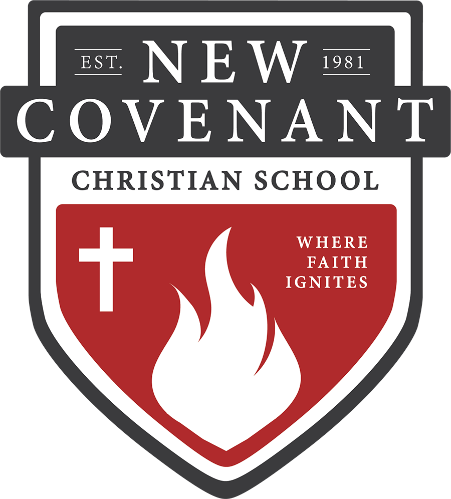 NCCS logo