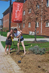 Students planting