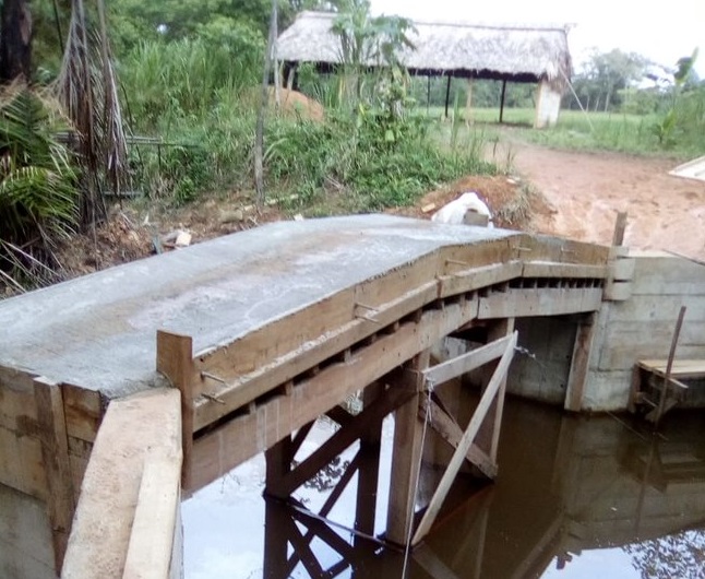 Nicaragua Bridge Project