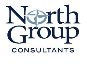 North Group's Logo
