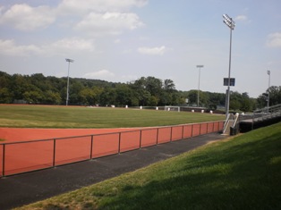 Picture 5