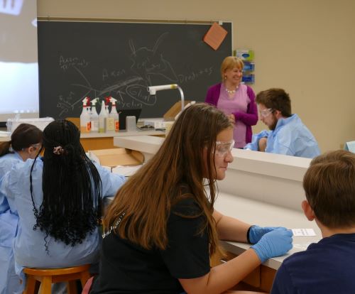 professor teaching about brains in Psychology Camp lab