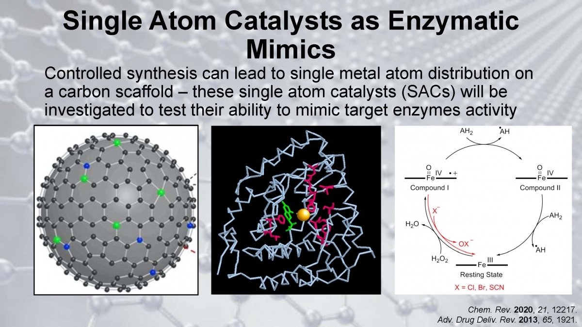 Single atom catalysts as enzymatic mimics