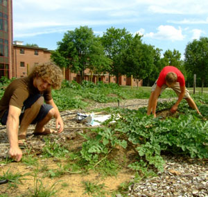 Photo of students in garden