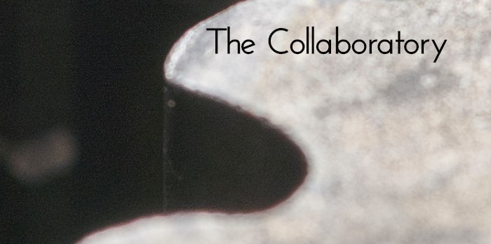 There are two gray gears up close with the words "The Collaboratory" written on the right hand corner.
